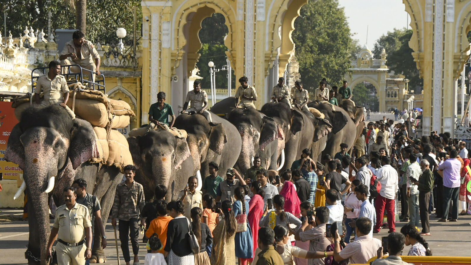 Mysore Dasara: ಮೈಸೂರು ದಸರಾ ಡ್ಯೂಟಿ ಮುಗಿಸಿ ನಾಡಿನಿಂದ ಕಾಡಿಗೆ ಹೊರಟ ಗಜಪಡೆ, ಅರಮನೆ ಅಂಗಳದಲ್ಲಿ ಭಾವುಕ ಬಿಳ್ಕೊಡುಗೆ