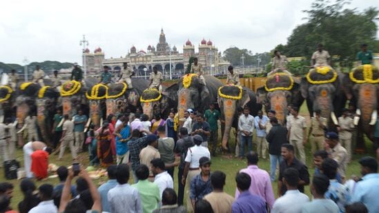 ನಾಡಿನಿಂದ ಕಾಡಿನತ್ತ ಹೊರಟ ಗಜಪಡೆಯ ಕ್ಯಾಪ್ಟನ್ ಅಭಿಮನ್ಯು ಅಂಡ್ ಟೀಂ