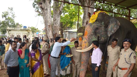 ಆನೆಗಳಿಗೆ ಪ್ರಿಯವಾದ ಬೆಲ್ಲ, ಕಬ್ಬು, ತೆಂಗು, ಬಾಳೆಹಣ್ಣು ನೀಡಿ ಸತ್ಕಾರ