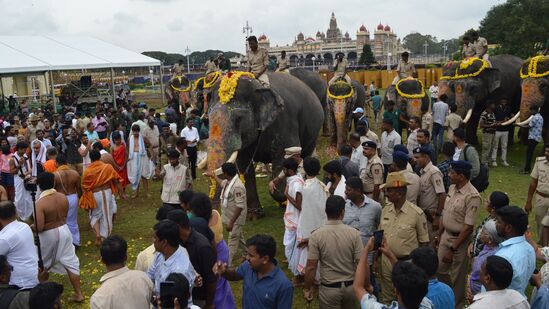 ಅರಮನೆಯ ಜಯಮಾರ್ತಾಂಡ ದ್ವಾರದ ಮೂಲಕ ವಿವಿಧ ಆನೆ ಶಿಬಿರಗಳತ್ತ ಸಾಗಿದ ದಸರಾ ಗಜಪಡೆ.