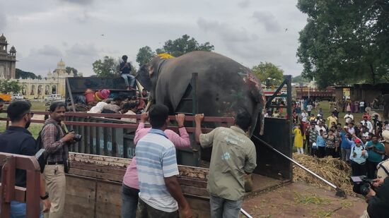 ಆನೆಗಳ ಜೊತೆ ಮಾವುತರು ಕಾವಾಡಿಗರು ಹಾಗು ಕುಟುಂಬ ವರ್ಗ ಆನೆ ಶಿಬಿರಗಳತ್ತ ಪಯಣ