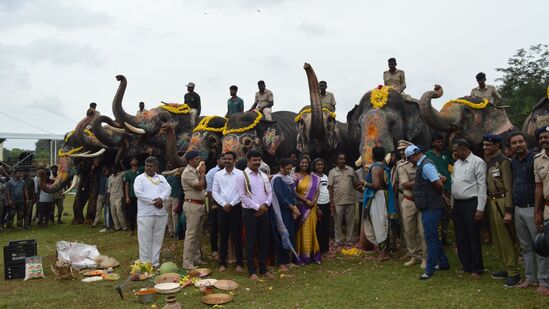 ಅರಮನೆ ಅಂಗಳದಲ್ಲಿ ಎಲ್ಲಾ ಆನೆಗಳನ್ನು ಸಾಲಾಗಿ ನಿಲ್ಲಿಸಿ ಪೂಜೆ ಸಲ್ಲಿಕೆ