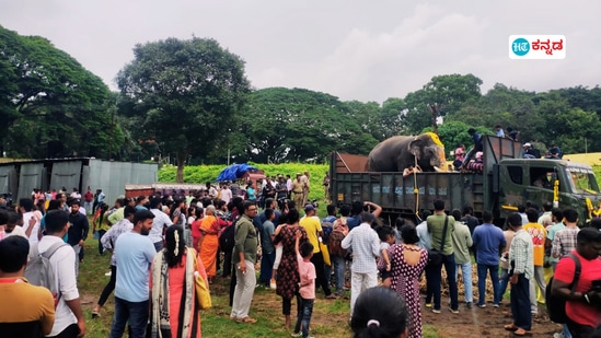 ಮೈಸೂರು ದಸರಾ ಜಂಬೂಸವಾರಿ ಮುಗಿಸಿದ ಗಜಪಡೆಗೆ ಒಂದೂವರೆ ಗಂಟೆ ಕಾಲ ಲಾರಿಯಲ್ಲೇ ನಿಲ್ಲುವ ಶಿಕ್ಷೆ