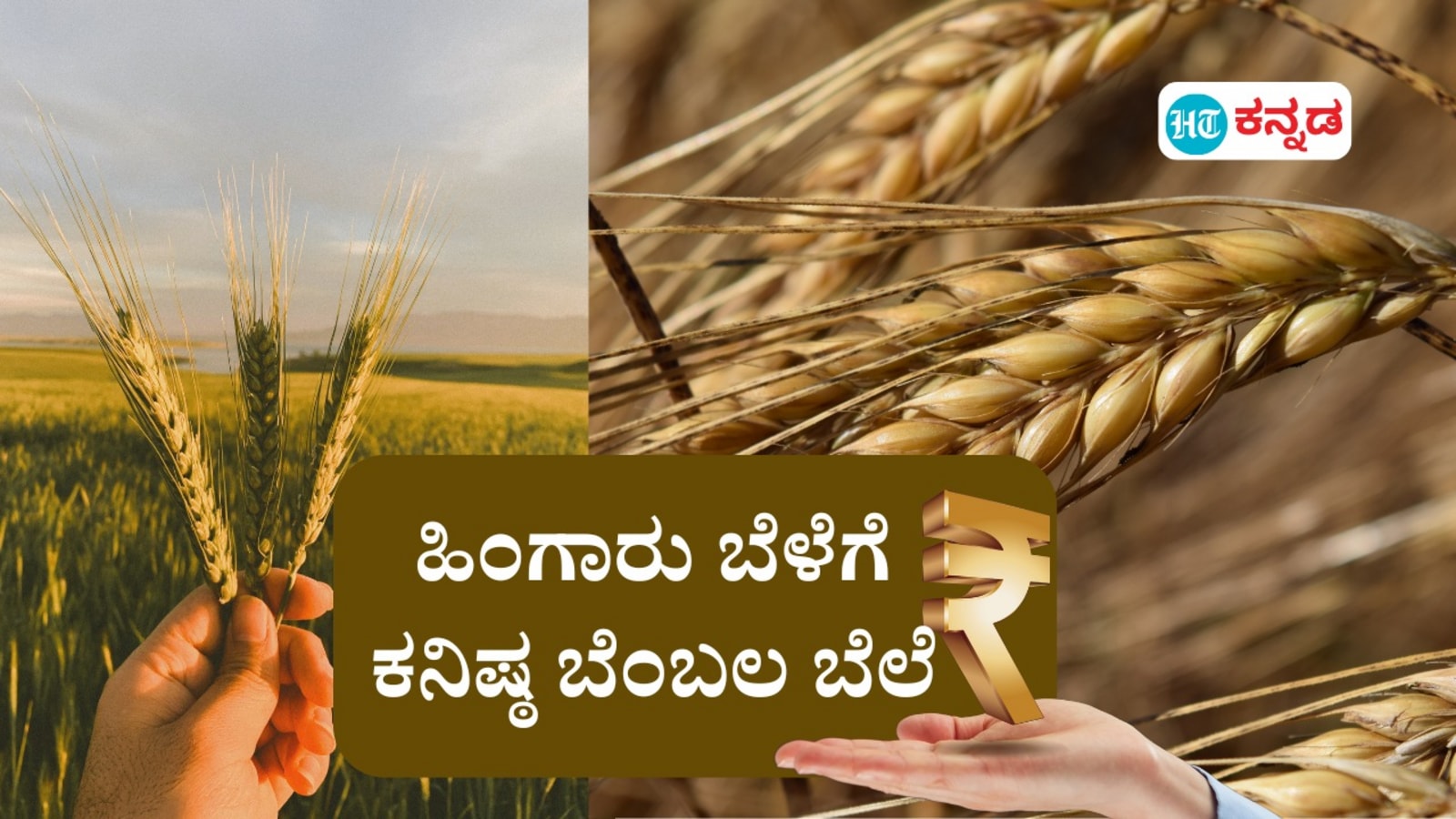 ಗೋಧಿ, ಕಡಲೆ, ಸೂರ್ಯಕಾಂತಿ ಸೇರಿ 6 ಹಿಂಗಾರು ಬೆಳೆಗೆ ಕನಿಷ್ಠ ಬೆಂಬಲ ಬೆಲೆ ಅನುಮೋದಿಸಿದ ಕೇಂದ್ರ ಸಚಿವ ಸಂಪುಟ