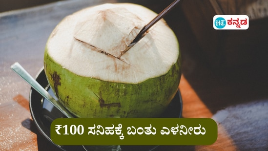 ಬೆಂಗಳೂರಲ್ಲಿ ಎಳನೀರು ದರ 100 ರೂಪಾಯಿ ಸನಿಹ ತಲುಪಿದೆ. ತೆಂಗು ಬೆಳೆಗಾರರಿಗೆ ಸಿಗುವ ಆದಾಯ ಇಷ್ಟೆ, ಆದರೂ ಖುಷಿಯಲ್ಲಿದ್ದಾರೆ ಅವರು. (ಸಾಂಕೇತಿಕ ಚಿತ್ರ)