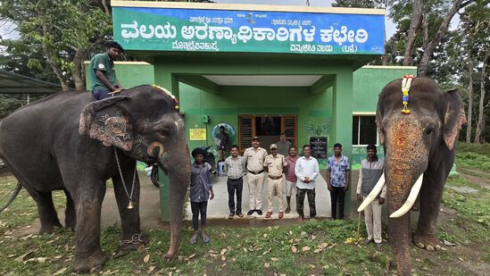 ಎರಡು ಆನೆಗಳೂ ಈ ಬಾರಿ ದಸರಾ ಚಟುವಟಿಕೆಯನ್ನು ಮುಗಿಸಿ ಹೊರಟಿದ್ದು ಕಬಿನಿ ಹಿನ್ನೀರಿಗೆ ಹೊಂದಿಕೊಂಡಂತೆ ಇರುವ ಬಳ್ಳೆ ಆನೆ ಶಿಬಿರಕ್ಕೆ.&nbsp;