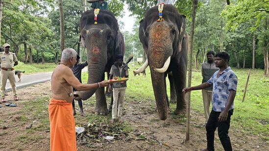 ಬಳ್ಳೆ ಆನೆ ಶಿಬಿರದಲ್ಲಿ ಐರಾವತ, ರಾಜೇಂದ್ರ, ದ್ರೋಣ, ಅರ್ಜುನ ಸೇರಿ ಪ್ರಮುಖ ಆನೆಗಳಿದ್ದವು. ನಾನಾ ಕಾರಣದಿಂದ ಅವುಗಳು ಮೃತಪಟ್ಟವು. ಈಗ ಹೊಸ ಆನೆಗಳು ದಸರಾಕ್ಕೆ ಬಂದಿವೆ. ಅದರಲ್ಲಿ ಮಹೇಂದ್ರ ಲಕ್ಷ್ಮಿ ಕೂಡ ಒಂದು. ಈ ಎರಡು ಆನೆಗಳೂ ಬಳ್ಳೆ ಶಿಬಿರಕ್ಕೆ ಬಂದಾಗ ಪೂಜೆ ಮಾಡಿ ಬರಮಾಡಕೊಳ್ಳಲಾಯಿತು.