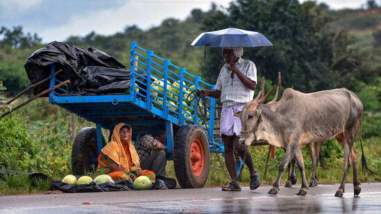  ಚಿಕ್ಕಮಗಳೂರಿನಲ್ಲಿ ಮಳೆಯಲ್ಲಿ ಕಂಡ ಚಿತ್ರ(PTI Photo)