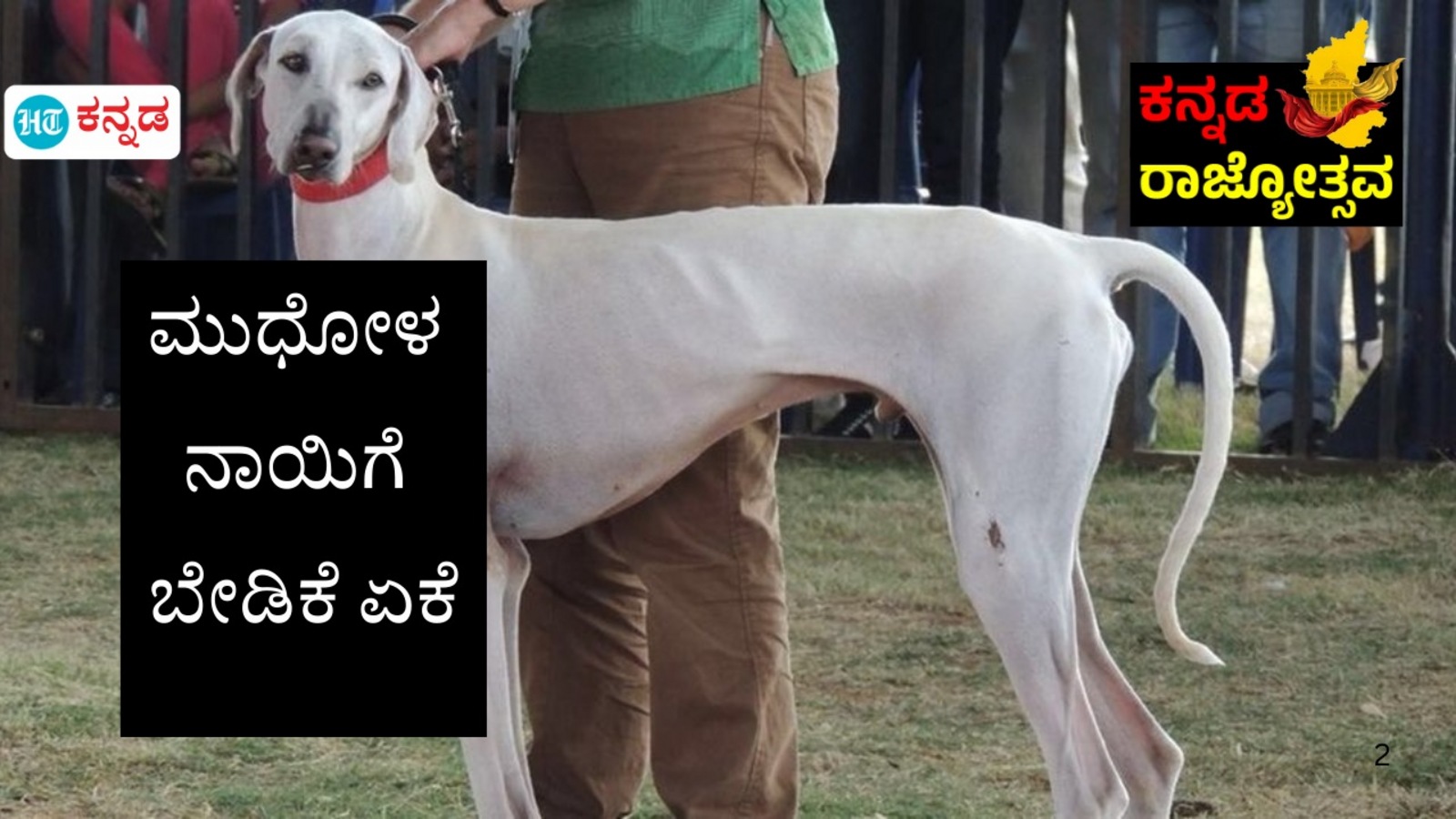 ಕನ್ನಡ ರಾಜ್ಯೋತ್ಸವ 2024: ಭಾರತೀಯ ಸೇನೆ ಸೇರಿದ ಕರ್ನಾಟಕದ ಹೆಮ್ಮೆ ಮುಧೋಳ ನಾಯಿ ತಳಿ ಬಗ್ಗೆ ನೀವು ತಿಳಿಯಬೇಕಾದ 10 ಅಂಶಗಳಿವು