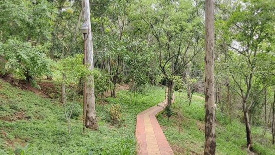 ನೃಪತುಂಗ ಬೆಟ್ಟ//ಹುಬ್ಬಳ್ಳಿ ನಗರದಲ್ಲೇ ಇರುವ ನೃಪತುಂಗ ಬೆಟ್ಟ ನೆಚ್ಚಿನ ಪ್ರವಾಸಿಗರ ತಾಣ, ಉಣಕಲ್‌ ನಿಂದ ಅನತಿ ದೂರದಲ್ಲಿರುವ ನೃಪತುಂಗ ಬೆಟ್ಟ ಹಸಿರಿನಿಂದ ಕೂಡಿದೆ. ಬೆಟ್ಟವೇರಿ ಹುಬ್ಬಳ್ಳಿ ನೋಟ ಸವಿಯುವುದೇ ಆನಂದ. ಅರಣ್ಯ ಇಲಾಖೆ ಸುಪರ್ದಿಯಲ್ಲಿರುವ ಈ ಬೆಟ್ಟಕ್ಕೆ ಬಂದರೆ ಆಟಕ್ಕೆ ಸಾಕಷ್ಟು ಸೌಲಭ್ಯಗಳನ್ನು ಒದಗಿಸಿರುವುದರಿಂದ ಹೆಚ್ಚು ಸಮಯ ಕಳೆಯಬಹುದು.