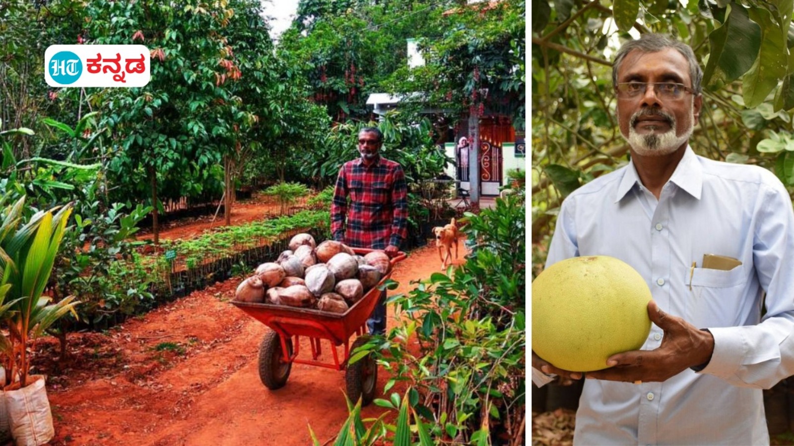 ಕನ್ನಡ ರಾಜ್ಯೋತ್ಸವ; ನಡೆದಾಡುವ ಕೃಷಿ ವಿಶ್ವಕೋಶ ಶಿವನಾಪುರದ ರಮೇಶ್‌ ಅವರಿಗೆ ಅರ್ಹವಾಗಿ ಸಂದ ರಾಜ್ಯೋತ್ಸವ ಪ್ರಶಸ್ತಿ, ಕರುನಾಡ ಹೆಮ್ಮೆ