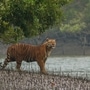 ಭಾರತದ 5 ನೈಸರ್ಗಿಕ ಅದ್ಭುತಗಳು