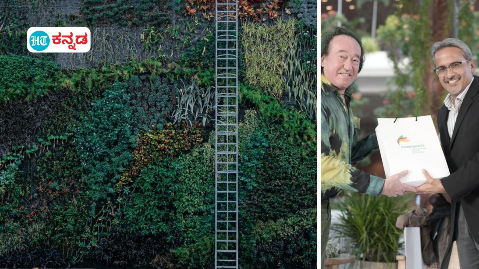 ಬೆಂಗಳೂರು ಅಂತಾರಾಷ್ಟ್ರೀಯ ವಿಮಾನ ನಿಲ್ದಾಣದಲ್ಲಿ ಹೊಸ ಗೋಡೆ ಉದ್ಯಾನ ಟೈಗರ್ ವಿಂಗ್ಸ್ ಅನಾವರಣ, ಜನಮನ ಸೆಳೆಯುತ್ತಿದೆ ಲಂಬ ಉದ್ಯಾನ