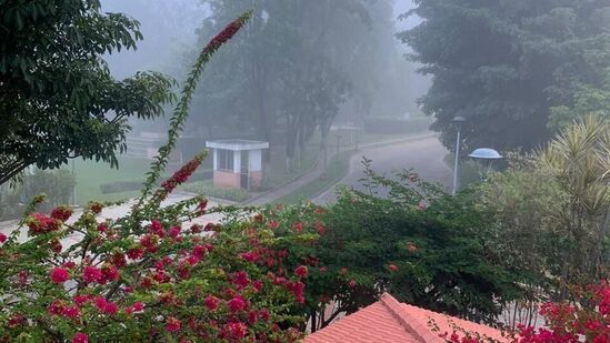 ಬೆಂಗಳೂರಿನ ಬಡಾವಣೆಯೊಂದರಲ್ಲಿ ಹಿಮಬಿದ್ದ ರಸ್ತೆ ಕಂಡಿದ್ದು ಹೀಗೆ. ಬೆಳಿಗ್ಗೆ ಬಹು &nbsp;ಹೊತ್ತಿನವರೆಗೂ ಇಂತಹದೇ ವಾತಾವರಣ ಇತ್ತು.