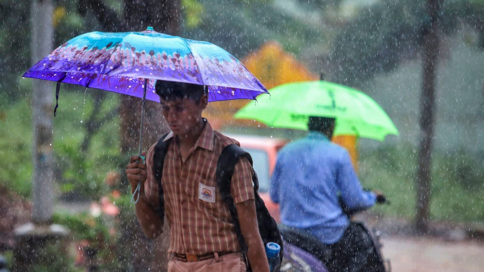 Rain Alert: ಕರ್ನಾಟಕದ ಈ ಜಿಲ್ಲೆಗಳಲ್ಲಿ ಇಂದು ಗುಡುಗು ಸಹಿತ ಭಾರೀ ಮಳೆ; ಚಳಿಯ ಜೊತೆಗೆ ವರುಣನೂ ಕಾಟ!