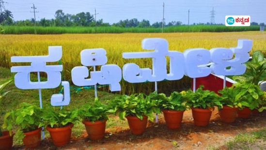 ಇಂದಿನಿಂದ ಬೆಂಗಳೂರಿನ ಜಿಕೆವಿಕೆಯಲ್ಲಿ ಆರಂಭವಾದ ಕೃಷಿ ಮೇಳಕ್ಕೆ ಜನಸಾಗರ; ಗಮನ ಸೆಳೆದ ಡಿಜಿಟಲ್ ಕೃಷಿಯ ಪ್ರ್ಯಾತ್ಯಕ್ಷಿಕೆಗಳು