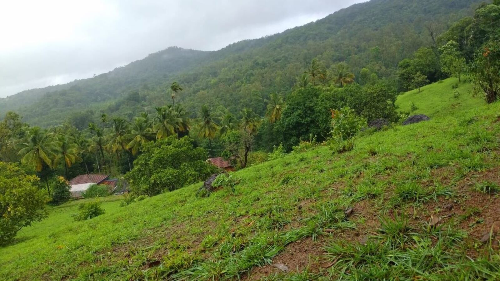 ಕರ್ನಾಟಕ ಹವಾಮಾನ: ಶಿವಮೊಗ್ಗ, ಚಿಕ್ಕಮಗಳೂರಲ್ಲಿ ಭಾರೀ ಮಳೆ ಅಲರ್ಟ್‌, ಬೆಂಗಳೂರಲ್ಲಿ ಸಾಧಾರಣ ಮಳೆ ನಿರೀಕ್ಷೆ