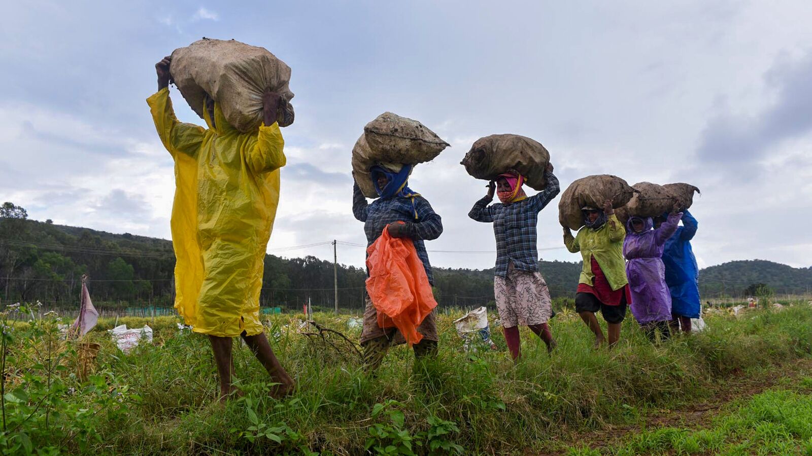 Karnataka News Live November 16, 2024 : ಇಂದಿನಿಂದ 3 ದಿನ ಮಳೆ, ಆ ಬಳಿಕ ರಾಜ್ಯದಲ್ಲಿ ಮೇಲುಗೈ ಸಾಧಿಸಲಿದೆ ಒಣ ಹವಾಮಾನ; ಟೆನ್ಶನ್​ನಲ್ಲಿದ್ದ ರೈತರಿಗೆ ಖುಷಿ ಸುದ್ದಿ