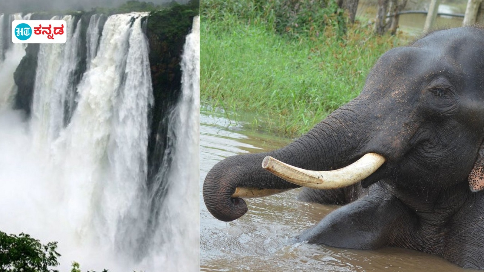 Shimoga Tour Plan: ಮಲೆನಾಡಿನ ಹೃದಯಭಾಗ ಶಿವಮೊಗ್ಗ ಜಿಲ್ಲೆಯಲ್ಲಿ 2 ದಿನದ ಶೈಕ್ಷಣಿಕ ಪ್ರವಾಸಕ್ಕೆ ಇದು ಬೆಸ್ಟ್‌ ಮಾರ್ಗ