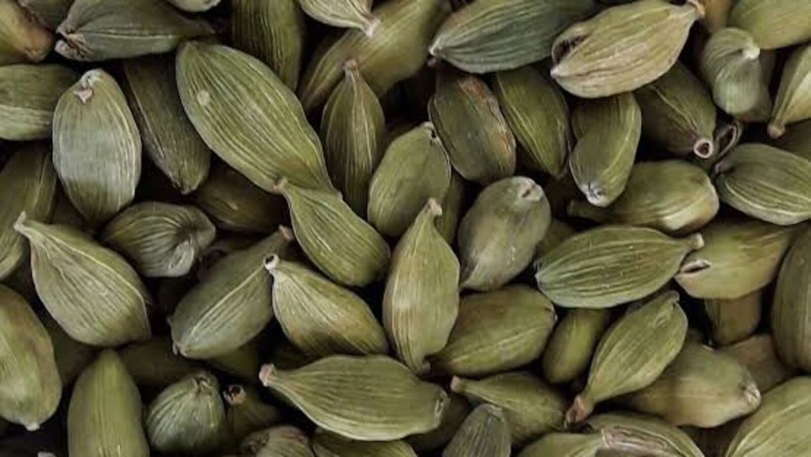 Cardamom Rate Hike: ಏಲಕ್ಕಿ ಬೆಳೆಗೆ ಬಂತು ಬಂಪರ್‌ ಬೆಲೆ, ಮಾರ್ಚ್‌ ಹೊತ್ತಿಗೆ ಕಿಲೋ ಗೆ 3500 ರೂ ತಲುಪುವ ನಿರೀಕ್ಷೆ