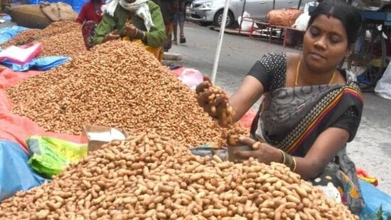 ಬಸವನಗುಡಿ ಕಡಲೆಕಾಯಿ ಪರಿಷೆಗೆ ಸಿದ್ಧತೆಗಳು ನಡೆಯುತ್ತಿವೆ. ಈಗಾಗಲೇ ರೈತರು ತಾವು ಬೆಳೆದಿರುವ ಶೇಂಗಾವನ್ನು ಜಾತ್ರೆಗೆ ತಂದು ಮಾರಾಟ ಮಾಡುತ್ತಿದ್ದಾರೆ