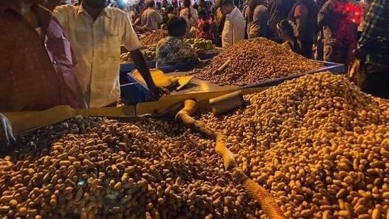 ಬೆಂಗಳೂರು ಹಾಗೂ ಸುತ್ತಮುತ್ತಲ ಭಾಗದಿಂದ ಬಸವನಗುಡಿ ಪರಿಷೆಗೆಂದೇ ಈಗಷ್ಟೇ ಬಂದಿರುವ ಕಡಲೆಕಾಯಿಯನ್ನು ತಂದು ಇಲ್ಲಿ ಮಾರಾಟ ಮಾಡಲಾಗುತ್ತದೆ. ಕಡಲೆಕಾಯಿ ರುಚಿಯೇ ಬೇರೆ. ಅದೂ ಜಾತ್ರೆಯಲ್ಲಿ -ಸುತ್ತು ಹಾಕಿ ಕಡಲೆಕಾಯಿ ಖರೀದಿಸುವ ಸಂಭ್ರಮಕ್ಕೆ ಎಣೆಯೇ ಇಲ್ಲ.