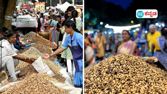 ಬೆಂಗಳೂರು ಬಸವನಗುಡಿ ಕಡ್ಲೆಕಾಯಿ ಪರಿಷೆಯ ನೋಟ. ಕಡಲೆಕಾಯಿ ಪರಿಷೆ ಇಂದು ಶುರುವಾಗಿದ್ದು, ನಾಳೆಯೇ ಕೊನೇ ದಿನ.