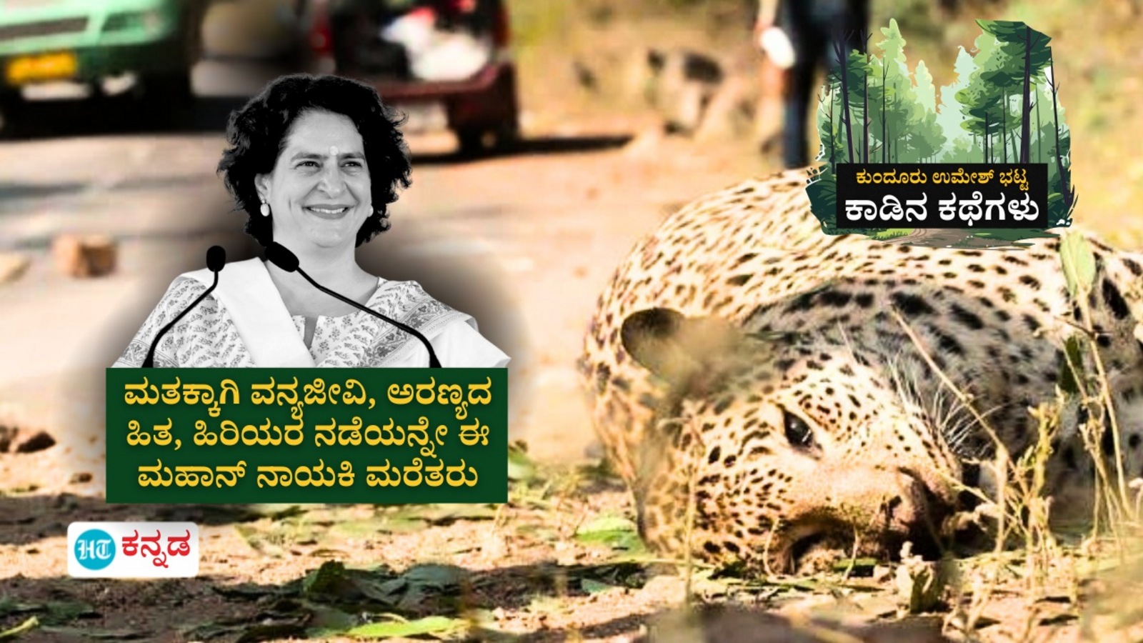 ಕಾಡಿನ ಕಥೆಗಳು: ಕೇರಳ ವಯನಾಡಿನಲ್ಲಿ ಮತ ಹಿತಕ್ಕಾಗಿ ಅಜ್ಜಿ- ಅಪ್ಪ ಅರಣ್ಯ, ವನ್ಯಜೀವಿ ರಕ್ಷಣೆಗೆ ಹಾಕಿಕೊಟ್ಟ ಮಾದರಿ ಮರೆತ ಪ್ರಿಯಾಂಕಗಾಂಧಿ