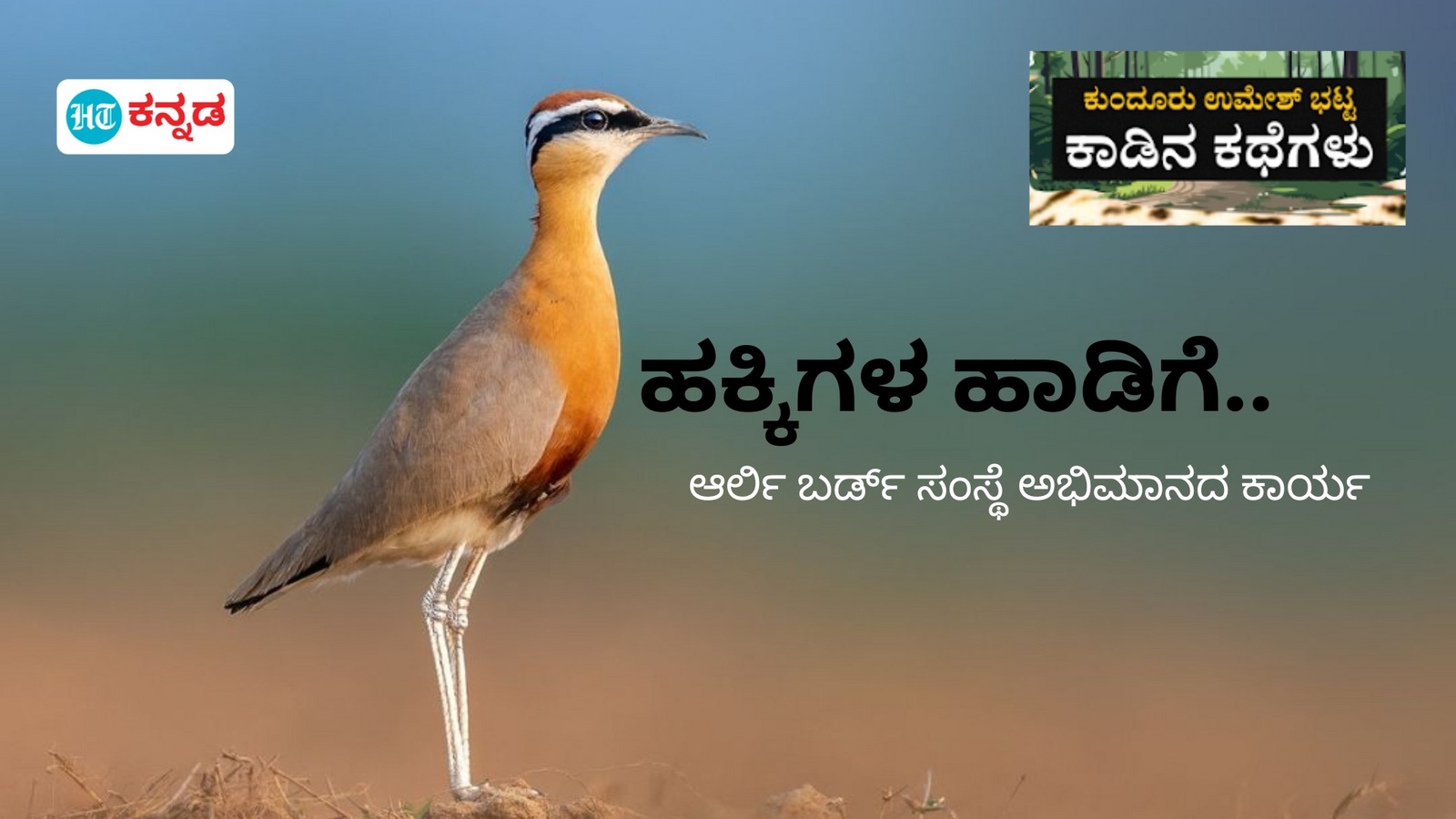 ಕಾಡಿನ ಕಥೆಗಳು: ಬಾಲ್ಯದಲ್ಲಿ ಹಕ್ಕಿ, ಪರಿಸರ, ಕಾಡಿನ ಪ್ರಭಾವ; ಬೆಂಗಳೂರಿನ ಅರ್ಲಿ ಬರ್ಡ್‌ ಸಂಸ್ಥೆ ಹುಟ್ಟು ಹಾಕುತ್ತಿರುವ ಹಸಿರು ಮಹಾ ಮಾರ್ಗ