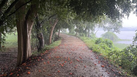 ಮೈಸೂರು ಮಳೆ ಜೋರಾಗಿದೆ. ಸೋಮವಾರ ಕುಕ್ಕರಹಳ್ಳಿ ಕೆರೆ ಮಳೆಯ ವಾತಾವರಣದಿಂದ ಕಂಡಿದ್ದು ಹೀಗೆ. ಚಿತ್ರ:ರವಿಕೀರ್ತಿಗೌಡ, ಮೈಸೂರು