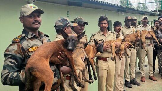 ಕರ್ನಾಟಕ ಅರಣ್ಯ ಇಲಾಖೆಯ ಹಿರಿಮೆಗೆ ಮತ್ತೊಂದು ವಿಶೇಷತೆ ಸೇರ್ಪಡೆಯಾಗಿದೆ. ಅದು ಕರ್ನಾಟಕ ಅರಣ್ಯ ಇಲಾಖೆಯ ಶ್ವಾನ ದಳ. ತನಿಖೆ ಹಾಗೂ ವಿಚಕ್ಷಣೆ, ತರಬೇತಿ ನೀಡಲು ಬಂಡೀಪುರದಲ್ಲಿ ಪ್ರತ್ಯೇಕ ಘಟಕವೇ ರಚನೆಯಾಗಿದ್ದು, ಶ್ವಾನಗಳು ಬಂದಿವೆ.