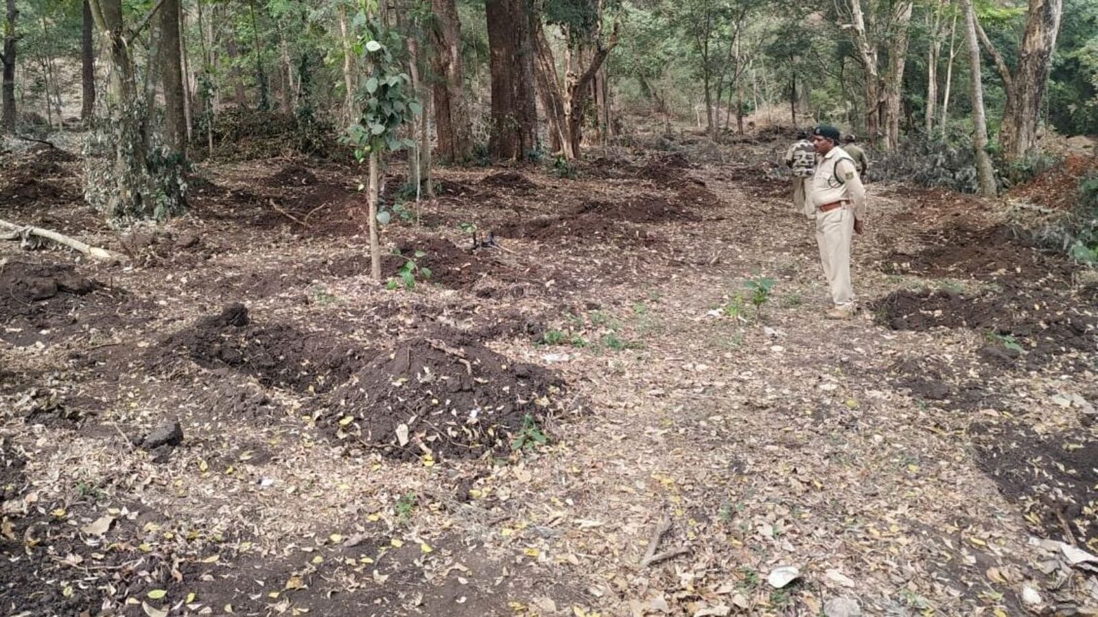 ಕರ್ನಾಟಕದ ಎರಡು ಜಿಲ್ಲೆಗಳಲ್ಲಿನ 9 ಕಂಪನಿಗಳ 5150 ಗುತ್ತಿಗೆ ಅರಣ್ಯಭೂಮಿ ಮರುವಶಕ್ಕೆ ಪಡೆಯಲು ಮುಂದಾದ ಅರಣ್ಯ ಇಲಾಖೆ