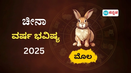 ಚೀನಾ ಪದ್ಧತಿ ವರ್ಷ ಭವಿಷ್ಯ 2025: ಮೊಲದ ಗುಂಪಿಗೆ ಸೇರಿದವರ ಹೊಸ ವರ್ಷದ ರಾಶಿಫಲ