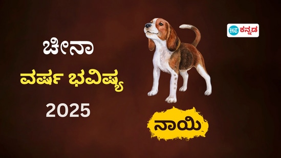 ಚೀನಾ ಪದ್ಧತಿ ವರ್ಷ ಭವಿಷ್ಯ 2025: ಕೋತಿ ಗುಂಪಿಗೆ ಸೇರಿದವರ ಹೊಸ ವರ್ಷದ ರಾಶಿಫಲ