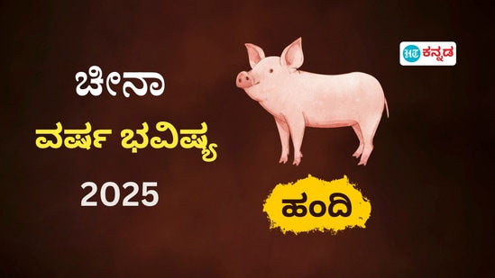 ಚೀನಾ ಪದ್ಧತಿ ವರ್ಷ ಭವಿಷ್ಯ 2025: ಹಂದಿ ರಾಶಿಗೆ ಸೇರಿದವರ ಹೊಸ ವರ್ಷದ ರಾಶಿಫಲ