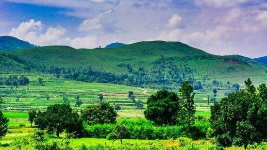 ತೆಲಂಗಾಣ ಪ್ರವಾಸೋದ್ಯಮವು ಅರಕು ಟೂರ್ ಪ್ಯಾಕೇಜ್ ನೀಡುತ್ತಿದೆ. ಇದು 4 ದಿನಗಳ ಪ್ರವಾಸವಾಗಿದ್ದು, ಇದರಲ್ಲಿ ಅನ್ನಾವರಂ, ಸಿಂಹಾಚಲಂ, ವೈಜಾಗ್, ಆರ್ ಕೆ ಬೀಚ್, ಕೈಲಾಸಗಿರಿ, ಅರಕು ಹಾಗೂ ಅನಂತಗಿರಿಯ ಬೊರ್ರಾ ಗುಹೆಗಳನ್ನು ತೋರಿಸಲಾಗುತ್ತದೆ.&nbsp;ಈ ಪ್ಯಾಕೇಜ್ 2024ರ ಡಿಸೆಂಬರ್ 18 ರಂದು ಲಭ್ಯವಿದೆ.