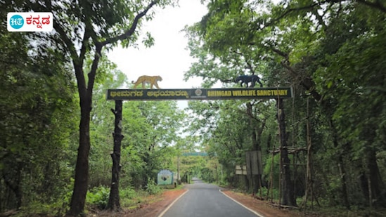 ಬೆಳಗಾವಿ ಜಿಲ್ಲೆ ಭೀಮಗಡ ಅಭಯಾರಣ್ಯದ ಒಳಭಾಗದಲ್ಲಿ ನೆಲೆಸಿರುವ ನಿವಾಸಿಗಳನ್ನು ಅರಣ್ಯದಿಂದ ಹೊರಕ್ಕೆ ಸ್ಥಳಾಂತರಿಸಲು ಸಿದ್ದತೆ ಶುರುವಾಗಿವೆ.