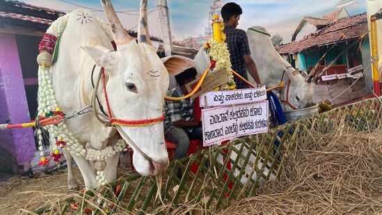 ತೊಟ್ಟಿ ಮನೆಯ ಹೊರಗೆ ಹಳ್ಳಿಕಾರ್ ಎತ್ತನ್ನು ಕಟ್ಟಿಹಾಕಲಾಗಿತ್ತು. ಜನರೆಲ್ಲಾ ಹಳ್ಳಿಕಾರ್ ಎತ್ತಿನ ಮುಂದೆ ಫೋಟೊ ತೆಗೆದುಕೊಂಡು ಸಂಭ್ರಮಿಸಿದರು. ಮಂಡ್ಯದ ಯಾವ ಭಾಗದಲ್ಲಿ ಏನೆಲ್ಲಾ ಬೆಳೆಯುತ್ತಾರೆ ಎಂಬುದರ ಚಿತ್ರಣವನ್ನು ಮೂಡಿಸಿದ್ದು, ಅದು ಕೂಡ ನೆರೆದವರ ಗಮನ ಸೆಳೆಯಿತು.&nbsp;