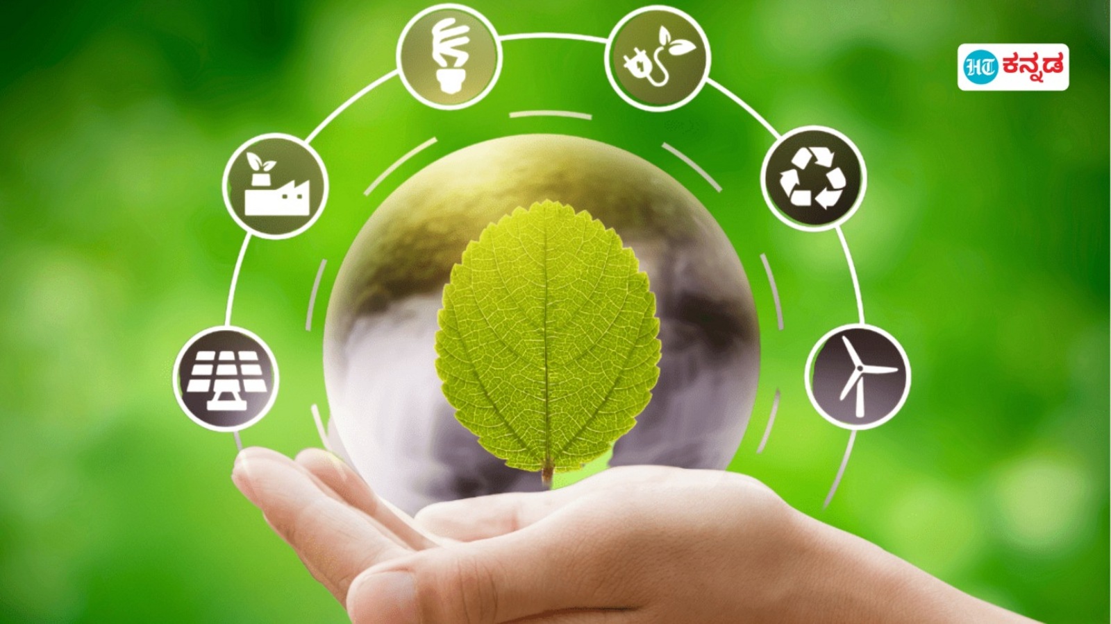 New Year Resolutions: ಹೊಸ ವರ್ಷ 2025 ರಲ್ಲಿ ಸರಳವಾಗಿ ನಾವು ಅನುಸರಿಸಬಹುದಾದ ಪರಿಸರ ಸ್ನೇಹಿ 10 ಸೂತ್ರಗಳು