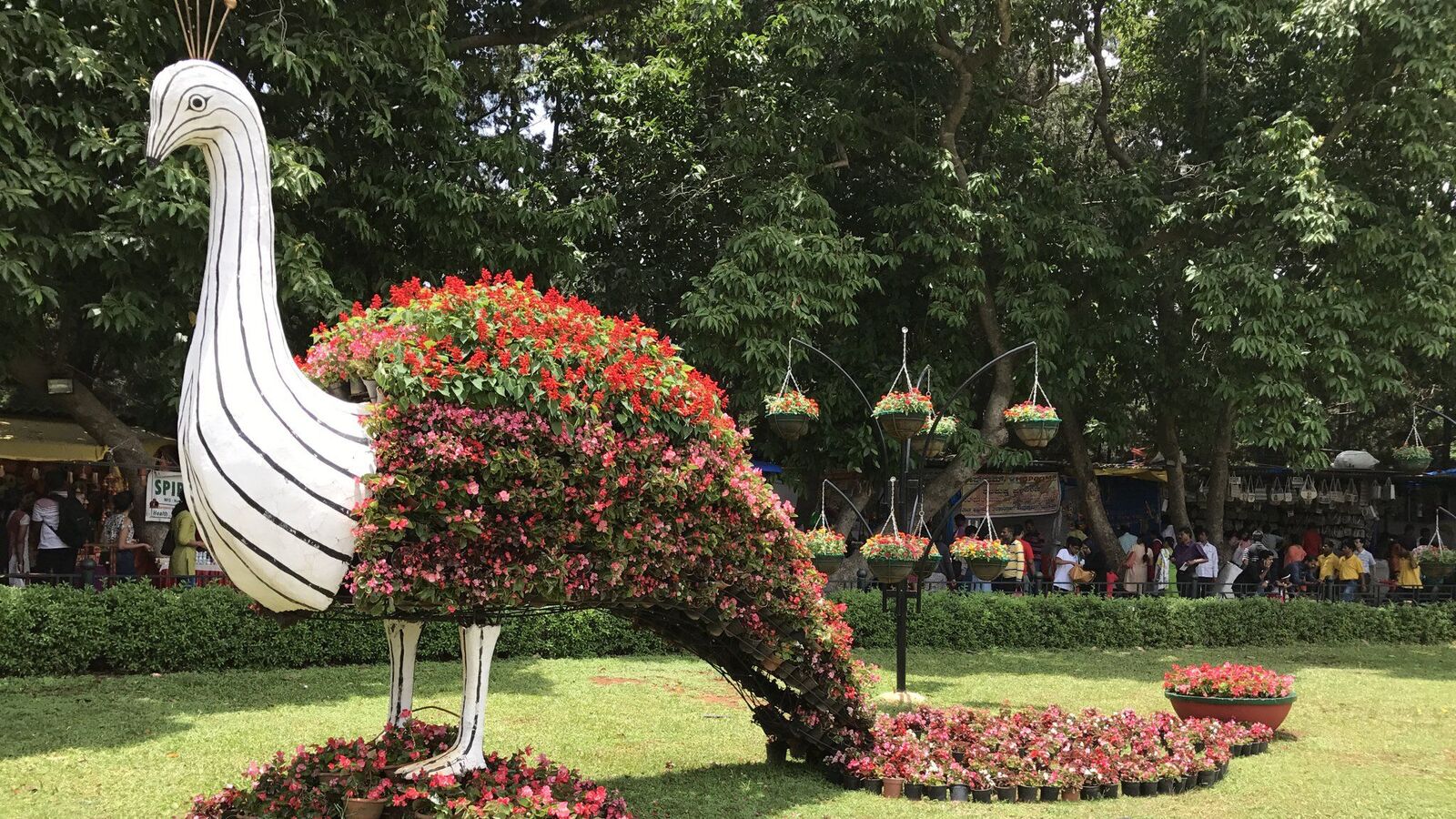 Bangalore Flower Show: ಲಾಲ್‌ಬಾಗ್‌ ಫಲಪುಷ್ಪ ಪ್ರದರ್ಶನ; ಹೂಗಳಲ್ಲಿ ಅರಳಲಿವೆ ರಾಮಾಯಣದ ಘಟನಾವಳಿಗಳು, ಮಹರ್ಷಿ ವಾಲ್ಮೀಕಿ ಪ್ರತಿಕೃತಿ
