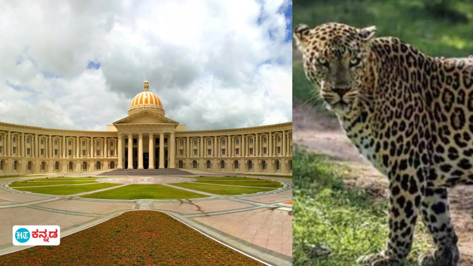 ಮೈಸೂರು ಇನ್ಫೋಸಿಸ್ ಕ್ಯಾಂಪಸ್ ನಲ್ಲಿ ಕಾಣಿಸಿಕೊಂಡ ಚಿರತೆ, ಉದ್ಯೋಗಿಗಳಿಗೆ ಮನೆಯಿಂದ ಕೆಲಸ ಮಾಡಲು ಸೂಚನೆ