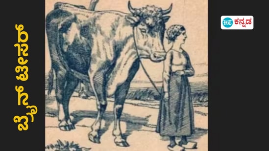 ಬ್ರೈನ್ ಟೀಸರ್ ಬ್ರೈನ್ ಟೀಸರ್