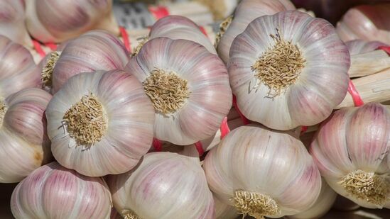 ರಕ್ತದ ಸಕ್ಕರೆ ಮಟ್ಟವನ್ನು ನಿಯಂತ್ರಿಸುವುದಕ್ಕೆ ಅಗತ್ಯವಾದ ಇನ್ಸುಲಿನ್ನ ಸಂವೇದನಾ ತೀವ್ರತೆಯನ್ನು ಬೆಳ್ಳುಳ್ಳಿ ಹೆಚ್ಚಿಸುತ್ತದೆ.ಇದು ಮಧುಮೇಹಿಳಿಗೆ ಹೆಚ್ಚು ಪ್ರಯೋಜನಕಾರಿ. ಏಕೆಂದರೆ ಇದು ರಕ್ತದ ಗ್ಲುಕೋಸ್ ಮಟ್ಟವನ್ನು ಸ್ಥಿರಗೊಳಿಸಲು ಸಹಾಯ ಮಾಡುತ್ತದೆ. ರಕ್ತದ ಸಕ್ಕರೆ ಮಟ್ಟವನ್ನು ನಿಯಂತ್ರಿಸುವುದಕ್ಕೆ ಅಗತ್ಯವಾದ ಇನ್ಸುಲಿನ್ನ ಸಂವೇದನಾ ತೀವ್ರತೆಯನ್ನು ಬೆಳ್ಳುಳ್ಳಿ ಹೆಚ್ಚಿಸುತ್ತದೆ.ಇದು ಮಧುಮೇಹಿಳಿಗೆ ಹೆಚ್ಚು ಪ್ರಯೋಜನಕಾರಿ. ಏಕೆಂದರೆ ಇದು ರಕ್ತದ ಗ್ಲುಕೋಸ್ ಮಟ್ಟವನ್ನು ಸ್ಥಿರಗೊಳಿಸಲು ಸಹಾಯ ಮಾಡುತ್ತದೆ.