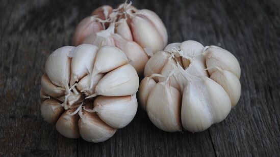 ಬೆಳ್ಳುಳ್ಳಿ ರೋಗನಿರೋಧಕ ಕಾರ್ಯವನ್ನು ಬೆಂಬಲಿಸುತ್ತದೆ ಮತ್ತು ಕಾಯಿಲೆಗಳ ಅಪಾಯವನ್ನು ಕಡಿಮೆ ಮಾಡುತ್ತದೆ. ಇದು ಒಟ್ಟಾರೆ ಆರೋಗ್ಯವನ್ನು ಸುಧಾರಿಸಲು ನೆರವಾಗುತ್ತದೆ. ಬೆಳ್ಳುಳ್ಳಿ ರೋಗನಿರೋಧಕ ಕಾರ್ಯವನ್ನು ಬೆಂಬಲಿಸುತ್ತದೆ ಮತ್ತು ಕಾಯಿಲೆಗಳ ಅಪಾಯವನ್ನು ಕಡಿಮೆ ಮಾಡುತ್ತದೆ. ಇದು ಒಟ್ಟಾರೆ ಆರೋಗ್ಯವನ್ನು ಸುಧಾರಿಸಲು ನೆರವಾಗುತ್ತದೆ.