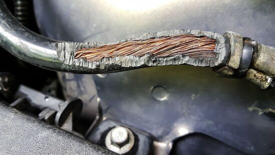 ತಂಬಾಕು: ಸಾಕಷ್ಟು ಕಾರು ಮಾಲೀಕರ ಪ್ರಕಾರ ಇಲಿಗಳಿಂದ ಪಾರಾಗಲು ತಂಬಾಕಿಗಿಂತ ಉತ್ತಮ ಮದ್ದು ಇನ್ನೊಂದಿಲ್ಲ. ತಂಬಾಕು ಸೇವನೆ ಆರೋಗ್ಯಕ್ಕೆ ಹಾನಿಕರ ಎಂದು ಇಲಿಗಳಿಗೆ ಚೆನ್ನಾಗಿ ಗೊತ್ತು. ತಂಬಾಕಿನ ಸ್ಮೆಲ್ ಇದ್ದರೆ ಇಲಿಗಳು ಕಾರಿನೊಳಗೆ ಸುಳಿಯದು. ಆದರೆ, ತಂಬಾಕು ಬೇಗ ಒಣಗಿ ಬಿಡುತ್ತದೆ. ಅದಕ್ಕಾಗಿ ಒದ್ದೆ ಬಟ್ಟೆ, ಒದ್ದೆ ಡೈಪರ್ನೊಳಗೆ (ಮಕ್ಕಳು ಬಳಸುವ) ತಂಬಾಕು ಇಡುವಂತಹ ಐಡಿಯಾಗಳನ್ನು ಮಾಡಿದರೆ ಒಳ್ಳೆಯದು. ಆಗಾಗ ತಂಬಾಕು ಬದಲಾಯಿಸುತ್ತ ಇರಬೇಕು. ತಂಬಾಕು: ಸಾಕಷ್ಟು ಕಾರು ಮಾಲೀಕರ ಪ್ರಕಾರ ಇಲಿಗಳಿಂದ ಪಾರಾಗಲು ತಂಬಾಕಿಗಿಂತ ಉತ್ತಮ ಮದ್ದು ಇನ್ನೊಂದಿಲ್ಲ. ತಂಬಾಕು ಸೇವನೆ ಆರೋಗ್ಯಕ್ಕೆ ಹಾನಿಕರ ಎಂದು ಇಲಿಗಳಿಗೆ ಚೆನ್ನಾಗಿ ಗೊತ್ತು. ತಂಬಾಕಿನ ಸ್ಮೆಲ್ ಇದ್ದರೆ ಇಲಿಗಳು ಕಾರಿನೊಳಗೆ ಸುಳಿಯದು. ಆದರೆ, ತಂಬಾಕು ಬೇಗ ಒಣಗಿ ಬಿಡುತ್ತದೆ. ಅದಕ್ಕಾಗಿ ಒದ್ದೆ ಬಟ್ಟೆ, ಒದ್ದೆ ಡೈಪರ್ನೊಳಗೆ (ಮಕ್ಕಳು ಬಳಸುವ) ತಂಬಾಕು ಇಡುವಂತಹ ಐಡಿಯಾಗಳನ್ನು ಮಾಡಿದರೆ ಒಳ್ಳೆಯದು. ಆಗಾಗ ತಂಬಾಕು ಬದಲಾಯಿಸುತ್ತ ಇರಬೇಕು.