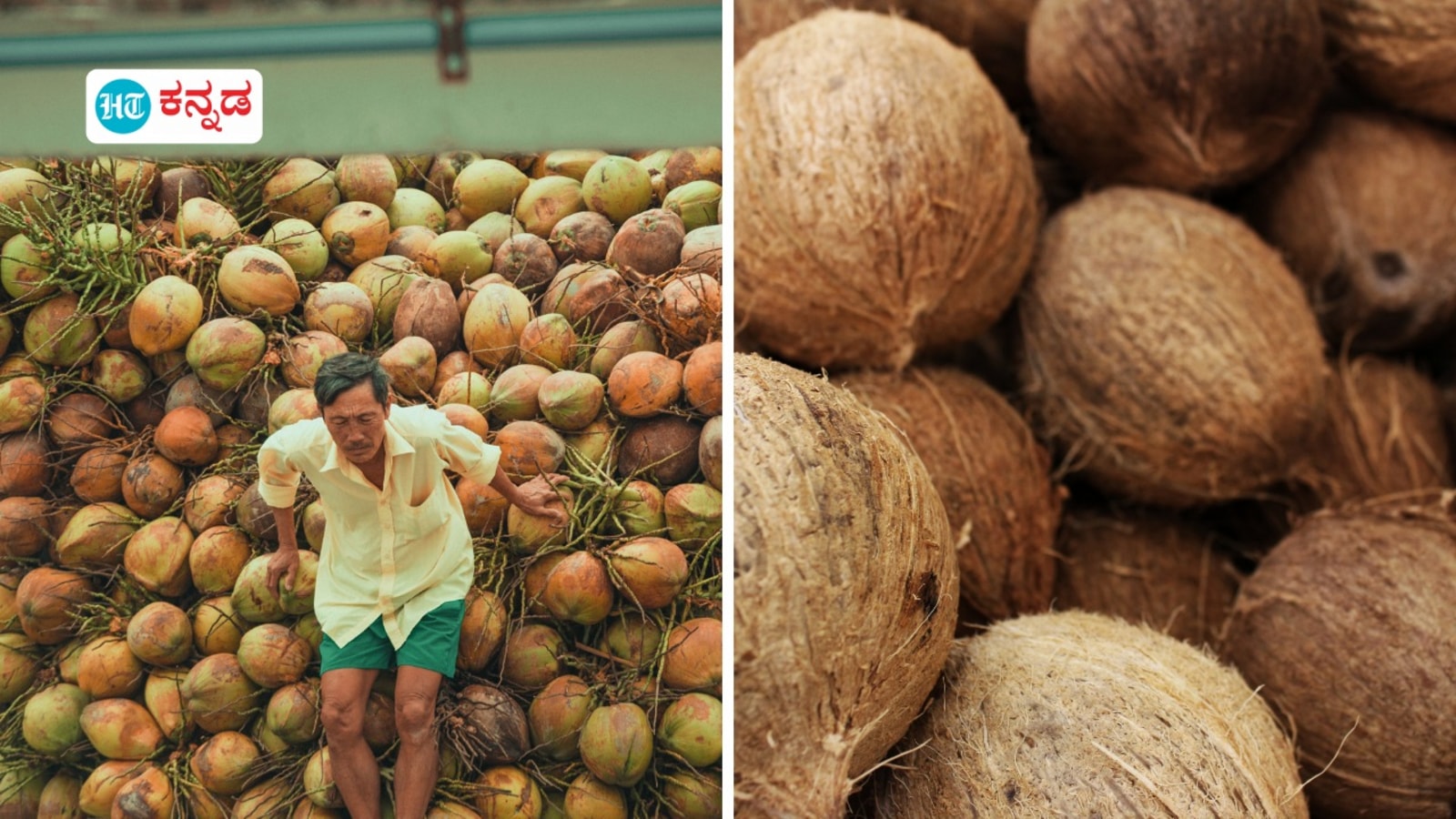 ತೆಂಗಿನಕಾಯಿ ದರ ದಿಢೀರ್ ಹೆಚ್ಚಳ, ಬೆಂಗಳೂರಲ್ಲಿ 20 ರೂಪಾಯಿ, ದಾವಣಗೆರೆಯಲ್ಲಿ 15 ರೂಪಾಯಿ ಏರಿಕೆ, ಹೋಟೆಲ್ ಉದ್ಯಮಕ್ಕೆ ಹೊರೆ