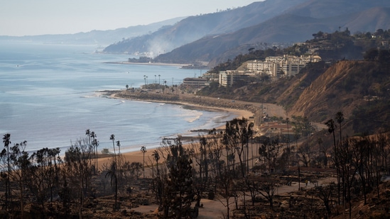 ಲಾಸ್ ಏಂಜಲೀಸ್ನ ಐಷಾರಾಮಿ ಪ್ರದೇಶಗಳಲ್ಲಿ ಉರಿಯುತ್ತಿರುವ ಬೆಂಕಿಯು ಸುಮಾರು 12,000ಕ್ಕೂ ಹೆಚ್ಚು ಕಟ್ಟಡಗಳನ್ನು ಸುಟ್ಟುಬೂದಿ ಮಾಡಿದ್ದಲ್ಲದೆ, ಮರಗಿಡಗಳನ್ನೂ ಸುಟ್ಟುಹಾಕಿತು. ಈ ದುರಂತದಲ್ಲಿ ಕನಿಷ್ಠ 11 ಜನ ಮೃತಪಟ್ಟಿದ್ದಾರೆ. ಕಾಡ್ಗಿಚ್ಚು ಸುಟ್ಟ ನಂತರ ಸುಡುಗಾಡಿನಂತಾದ ಪ್ರದೇಶದ ಒಂದು ನೋಟ. ಲಾಸ್ ಏಂಜಲೀಸ್ನ ಐಷಾರಾಮಿ ಪ್ರದೇಶಗಳಲ್ಲಿ ಉರಿಯುತ್ತಿರುವ ಬೆಂಕಿಯು ಸುಮಾರು 12,000ಕ್ಕೂ ಹೆಚ್ಚು ಕಟ್ಟಡಗಳನ್ನು ಸುಟ್ಟುಬೂದಿ ಮಾಡಿದ್ದಲ್ಲದೆ, ಮರಗಿಡಗಳನ್ನೂ ಸುಟ್ಟುಹಾಕಿತು. ಈ ದುರಂತದಲ್ಲಿ ಕನಿಷ್ಠ 11 ಜನ ಮೃತಪಟ್ಟಿದ್ದಾರೆ. ಕಾಡ್ಗಿಚ್ಚು ಸುಟ್ಟ ನಂತರ ಸುಡುಗಾಡಿನಂತಾದ ಪ್ರದೇಶದ ಒಂದು ನೋಟ.