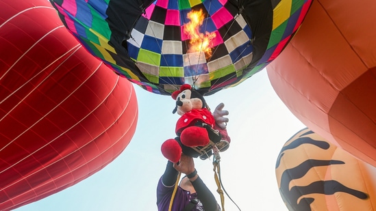 ಬಿಸಿಗಾಳಿ ಬಲೂನ್‌ ಉತ್ಸವದಲ್ಲಿ ಯುನೈಟೆಡ್ ಕಿಂಗ್‌ಡಮ್, ಫ್ರಾನ್ಸ್, ಆಸ್ಟ್ರಿಯಾ, ಬ್ರೆಜಿಲ್, ಬೆಲ್ಜಿಯಂ, ಜಪಾನ್, ಥೈಲ್ಯಾಂಡ್ ಮತ್ತು ವಿಯೆಟ್ನಾಂ ಸೇರಿ ಹಲವಾರು ದೇಶಗಳ ಬಿಸಿಗಾಳಿ ಬಲೂನ್‌ಗಳು ಪಾಲ್ಗೊಳ್ಳುತ್ತಿವೆ.