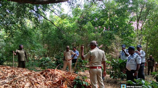 ಸಿಬ್ಬಂದಿಯಂತೂ ಇನ್ಫೋಸಿಸ್ನ ಸುತ್ತಮುತ್ತ ಇರುವ ಹಸಿರು ಪ್ರದೇಶವನ್ನು ಕೊಂಚವೂ ಬಿಡದೇ ಜಾಲಾಡುತ್ತಿದ್ದಾರೆ. ಸಿಬ್ಬಂದಿಯಂತೂ ಇನ್ಫೋಸಿಸ್ನ ಸುತ್ತಮುತ್ತ ಇರುವ ಹಸಿರು ಪ್ರದೇಶವನ್ನು ಕೊಂಚವೂ ಬಿಡದೇ ಜಾಲಾಡುತ್ತಿದ್ದಾರೆ.