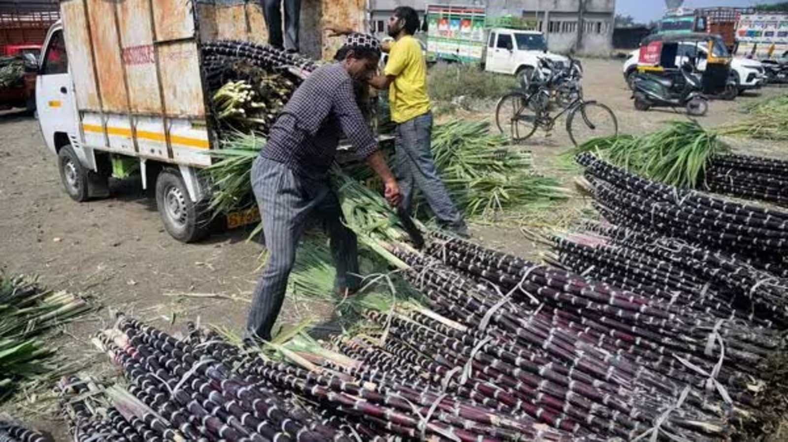 ಕರ್ನಾಟಕದಲ್ಲಿ ಮಕರ ಸಂಕ್ರಾಂತಿ ಹಬ್ಬದ ಖರೀದಿ ಭರಾಟೆ ಜೋರು; ಮಾರುಕಟ್ಟೆಯಲ್ಲಿ ಗಗನಕ್ಕೇರಿದ ಕಬ್ಬಿನ ಬೆಲೆ